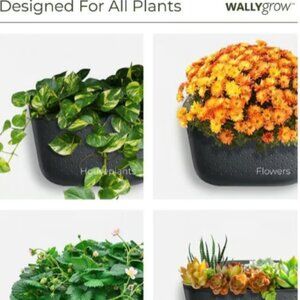 4 x WALLYgrow Eco planter yellow set